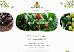 水彩イラストとギミックが調和した、ナチュラルテイスト×トレンド感を意識した公園紹介サイト